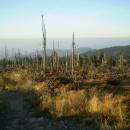 Zniszczony las w Gorcach - panoramio